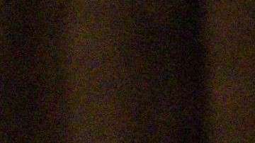 Trump hace sentir su poder en la decisiones de vicepresidente Pence