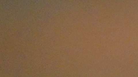 Presidente Donald Trump.