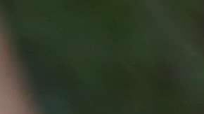 Los inmigrantes detenidos no recibirán protección contra la gripa.