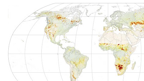 El mapa muestra 13.3 millones de incendios captados por satélites de NASA entre 2003 y 2016.