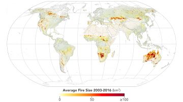 El mapa muestra 13.3 millones de incendios captados por satélites de NASA entre 2003 y 2016.