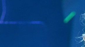 Gloria Trevi, cantante mexicana.