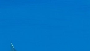 Great_white_shark_south_africa
