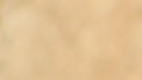 Condor de California, especie protegida.