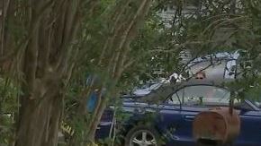 No se ha revelado a quien le pertenece la pistola.