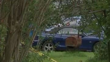 No se ha revelado a quien le pertenece la pistola.