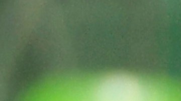 José Juan Macías destacó en el cuadro de honor con un doblete ante Chivas.