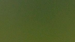 Héctor Moreno se negó a volver a México para jugar con Chivas.