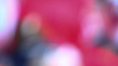 El ‘Bigotón’ respira, por fin gana Toluca