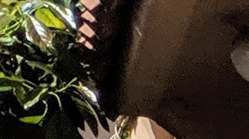 Silvia Mendoza se unió a sus vecinos para protestar por una mejor vivienda. (Jacqueline García)