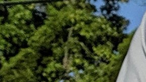 Freddy Cash Sepúlveda llevaba consigo un letrero que decía que estaba en su primer día de kinder. (Jacqueline García)