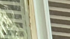 Bonfilio Ortega Huertas y su esposa Silvia Esthela Santos logran la residencia permanente por su hijo Alfredo quien sufre de una condición especial. (Araceli Martínez/La Opinión).