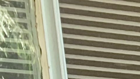 Bonfilio Ortega Huertas y su esposa Silvia Esthela Santos logran la residencia permanente por su hijo Alfredo quien sufre de una condición especial. (Araceli Martínez/La Opinión).