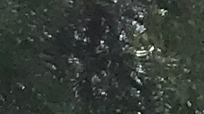 Camionetas RVs de personas sin hogar.