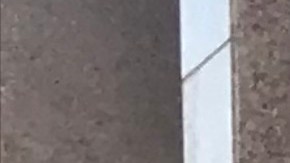 Bambi Salcedo junto a decenas de activistas asistieron a la Junta.