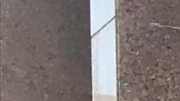 Bambi Salcedo junto a decenas de activistas asistieron a la Junta.