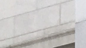 Inquilinos del complejo de departamentos Hillside Villa protestaron en el Ayuntamiento de LA. (Suministrada)