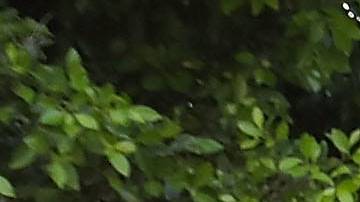 Voluntarios de medicina en Coachella Valley conducen tareas de información en las calles para brindar atención de salud a las personas sin hogar.

(Jay Calderón/The Desert Sun)