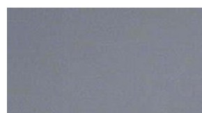 Justin Olsen amenazó a agentes federales y tenía un arsenal.