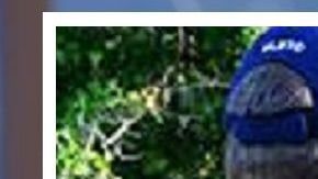 Kevin McAleenan, director interino del DHS.