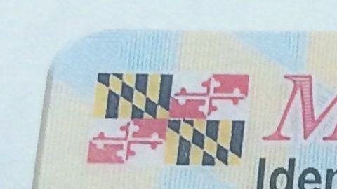 Ejemplo de licencia de Maryland.
