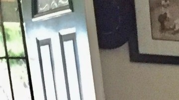 Luis Alonso se considera afortunado de haber sido uno de los mil estudiantes que el próximo ciclo escolar estará recibiendo el apoyo económico del programa The Free College Promise  (Suministrada)