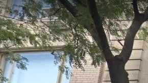 La mansión de siete pisos en  9 East 71 St, UES