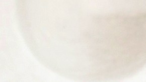 Seguro médico para indocumentados María Elena Durazo