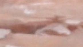 El del senador fue el único voto en contra.