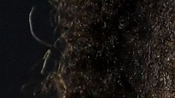 Por una o por otra razón, el brasileño Neymar está en boca de todos.