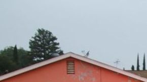 Maritza lara fue detenida en México el 15 de agosto.