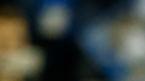 Katelyn Ohashi, de la Universidad de California en Los Angeles, se ha convertido en un ícono del deporte y la superación personal.