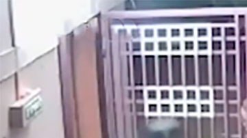 El par de ladrones no pudo contra los ancianos y decidieron salir huyendo del lugar.