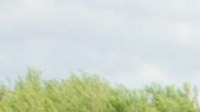 La niña fue trasladada a un hospital infantil de Corpus Christi, Texas.