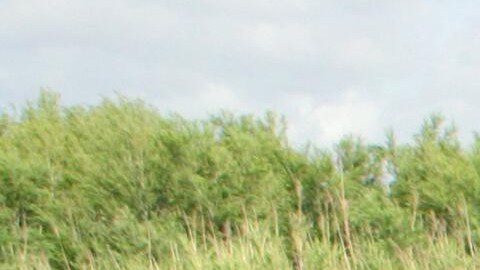 La niña fue trasladada a un hospital infantil de Corpus Christi, Texas.