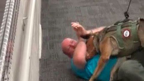 El perro en un simulacro.