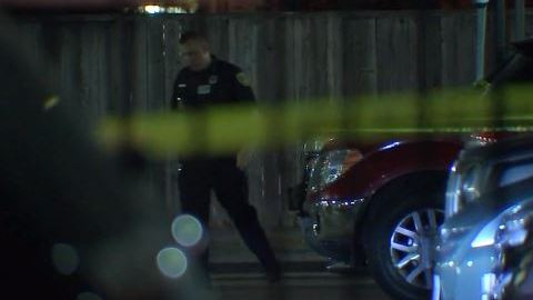 La policía respondió a una llamada de reportes de un doble tiroteo en la calle Amelia.