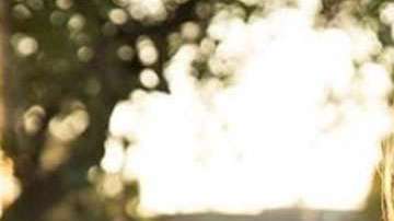 Rosie Rivera, hermana de Jenni.