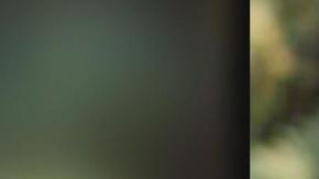 Saoirse Kennedy Hill, sobrina nieta del ex presidente JFK