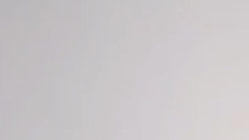 Screen Shot 2019-08-04 at 12.53.38 PM