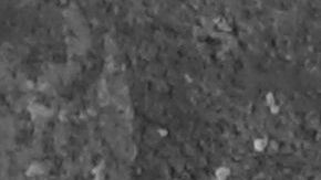 shutterstock_222545551