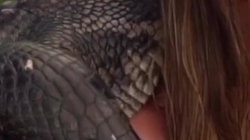 Francia James, de origen colombiano criticada por hacer deporte usando a un caimán.