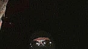 Surge Cártel La Nueva Línea tras la caída de El Carrete