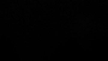 Los Tiburones Rojos de Veracruz siguen con la desastrosa racha.