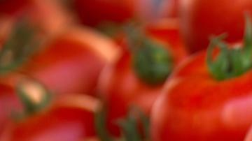 dieta del tomate