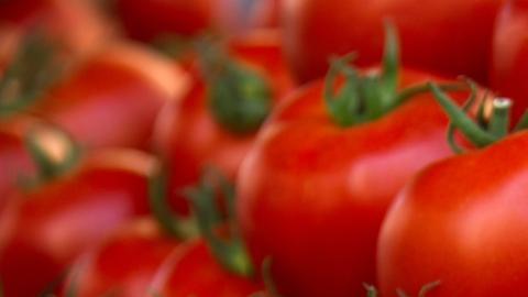 dieta del tomate