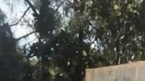 VIDEO: Enemigo de El Mencho se queda sin "El Monstruo", troca blindada capaz de resistir arsenal