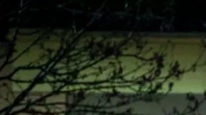 El investigado, Philip Attey, aseguró ser un activista antiarmas.