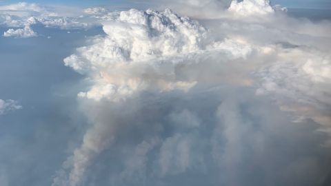El penacho de humo (gris) que alimentaba la nube (blanca).