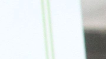 Foto de archivo. El problema y el miedo de los inmigrantes sobre la medida 'carga pública' es a nivel nacional que organizaciones de diferentes estados han protestado y algunos hasta demandado al mismo gobierno.